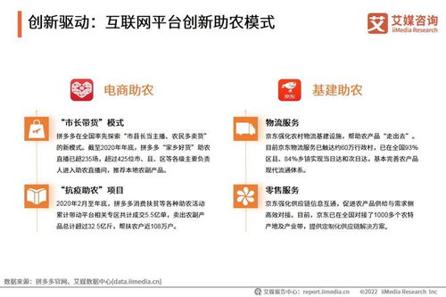 2022年中国乡村数字经济发展专题研究报告